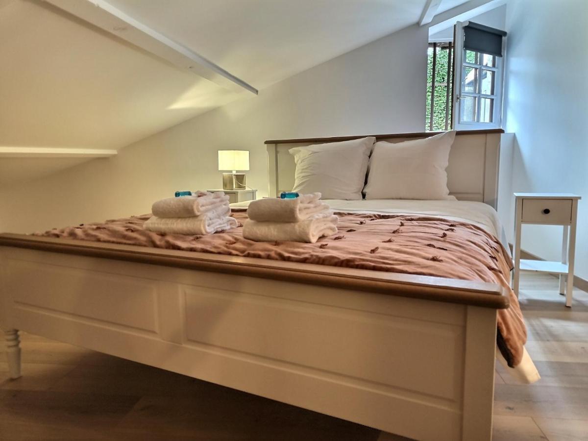 Apartamento La Muse D'Avril - Wifi - Hyper Centre Albi Exterior foto